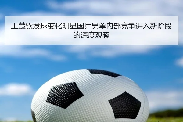 王楚钦发球变化明显国乒男单内部竞争进入新阶段的深度观察 - VSPORT